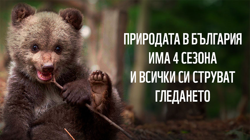 Снимка: WWF