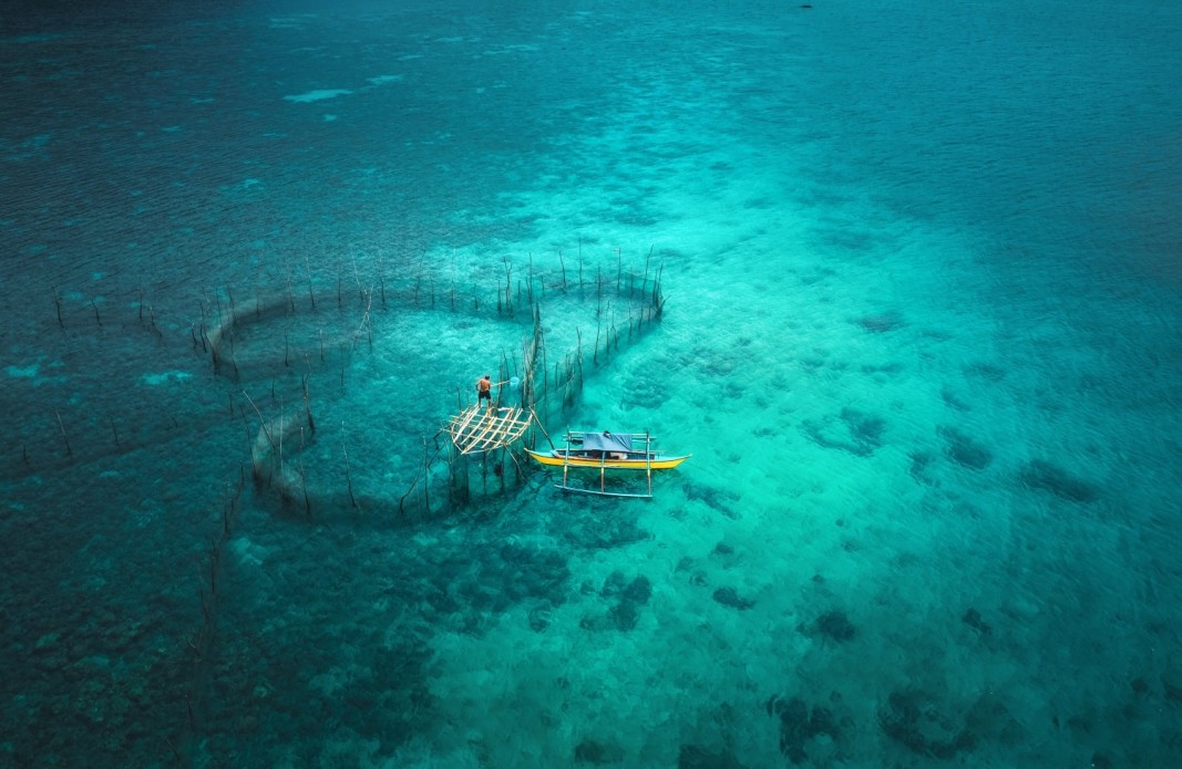  фотографията на Владимир Карамазов, която беше оповестена в английския вестник The Times на 22 октомври 