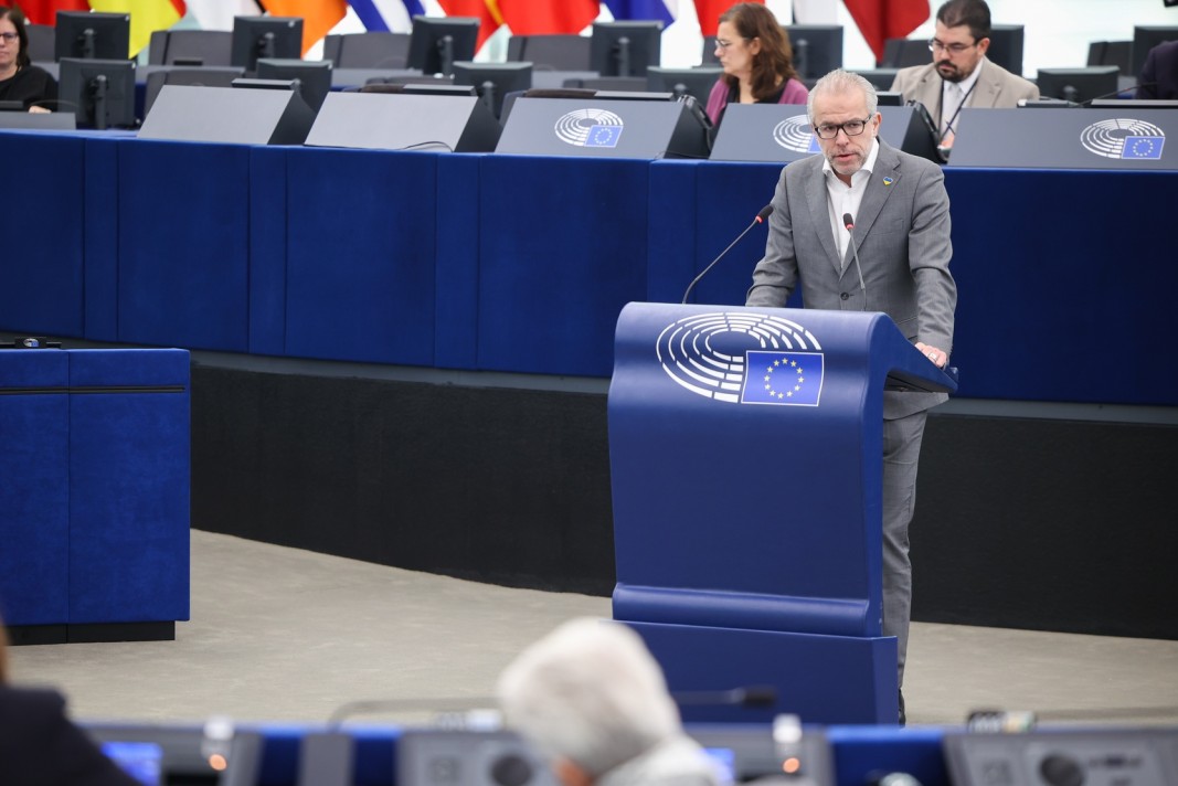 Тейс Ройтен/Европейски парламент