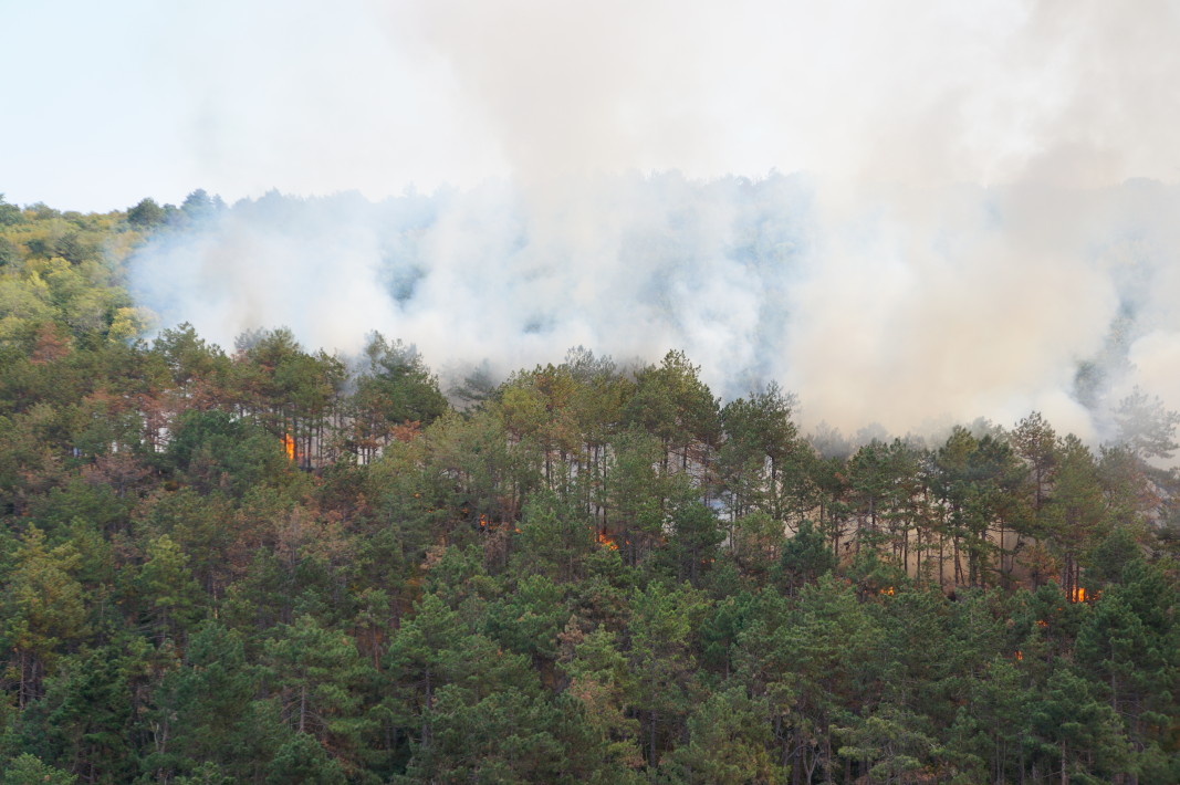  Радио Варна 