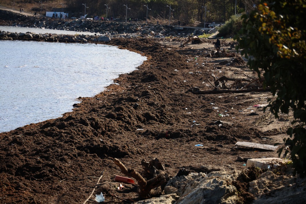 Снимка: БТА, Царево (5 октомври 2025)