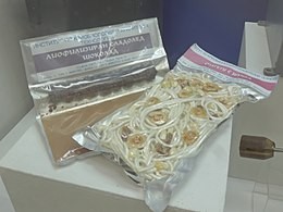Aliments lyophilisés - glaces, chocolat, pâtes au bacon produits à l'Institut de cryobiologie et de technologie alimentaire.