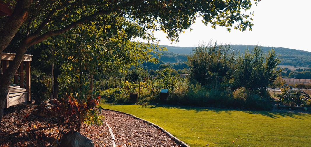 Изглед от фермата