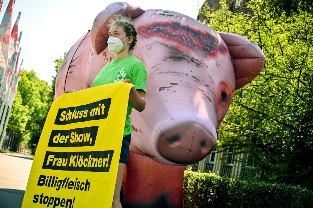 Протест в Дюселдорф с искане да се сложи край на производството на евтино месо.