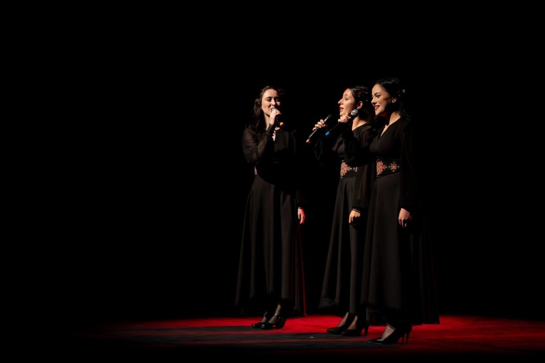 Вокална формация ИДНА