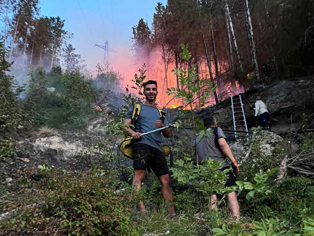 Александър Николов