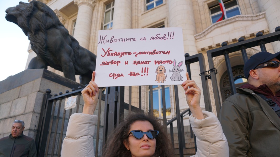 Протест срещу насилието над животните пред Съдебната палата в София на 15.11.2025 г.