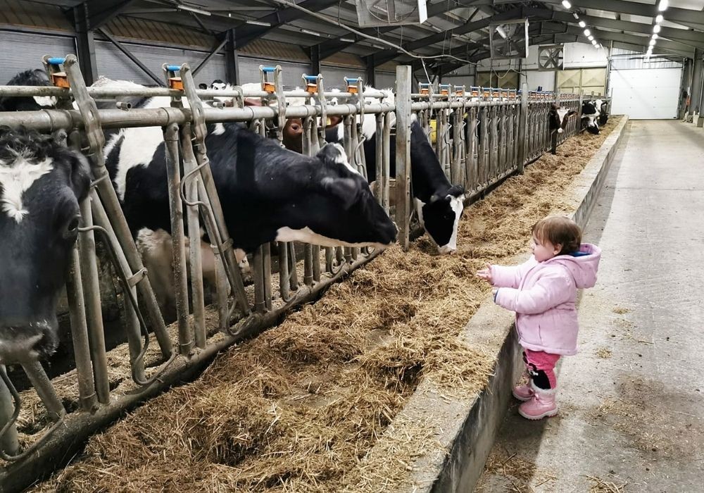 La ferme et la laiterie près du village Borovitsa ouvertes aux visiteurs...