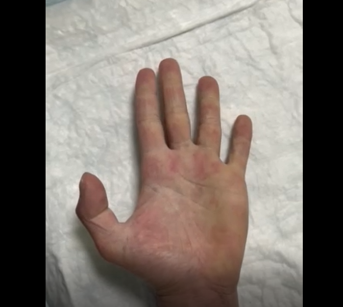 Снимка: Радио Видин