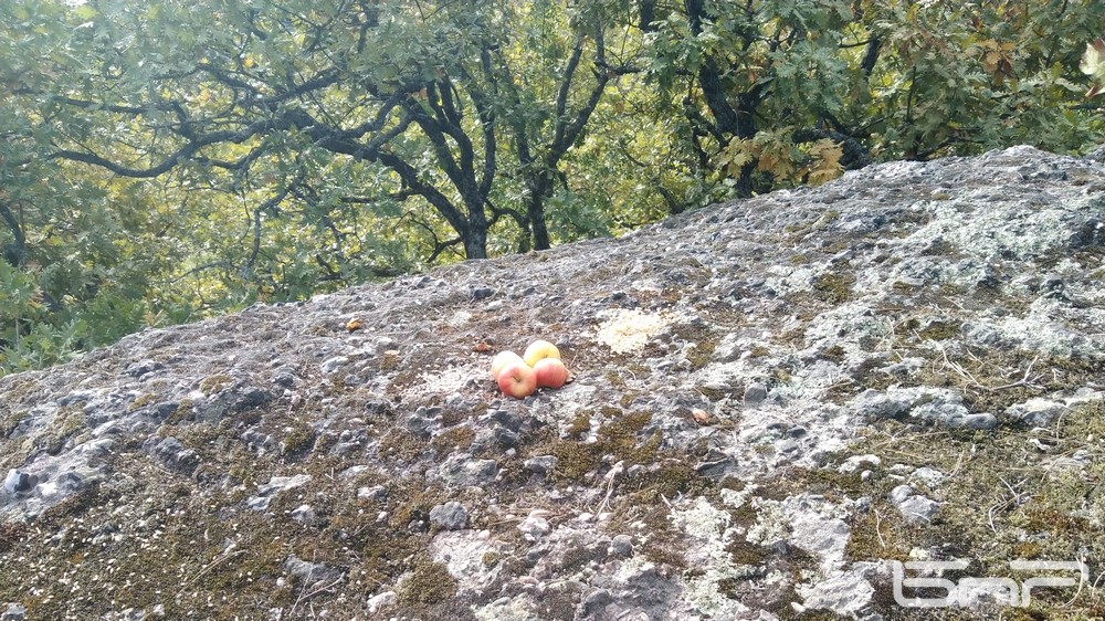 Посетители са оставили в древното тракийскоо светилище ябълки и жито