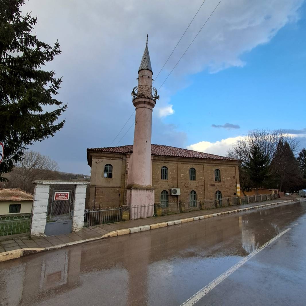 Plastina camisi