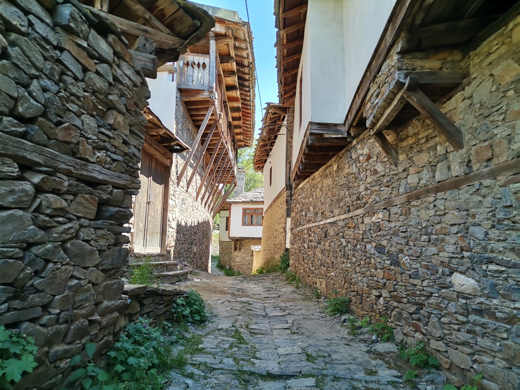  Улица в с. Долен 