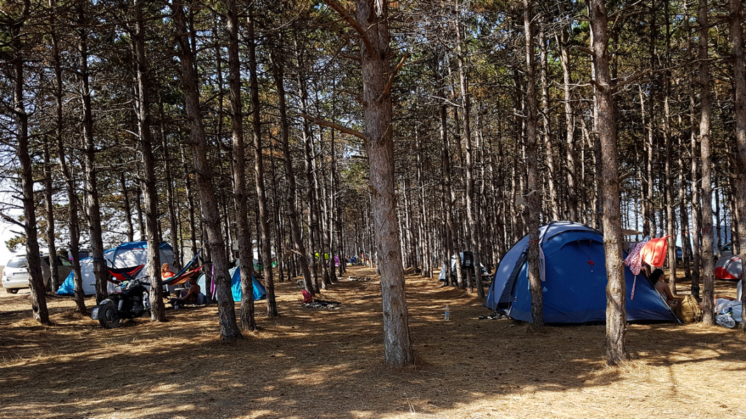  Снимка: БГНЕС 