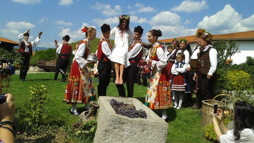 По традиция Царицата на гроздето и виното, Бояна Ацева, трябва изпълни „ритуала мачкане на гроздето“. Снимка: Петра Талева