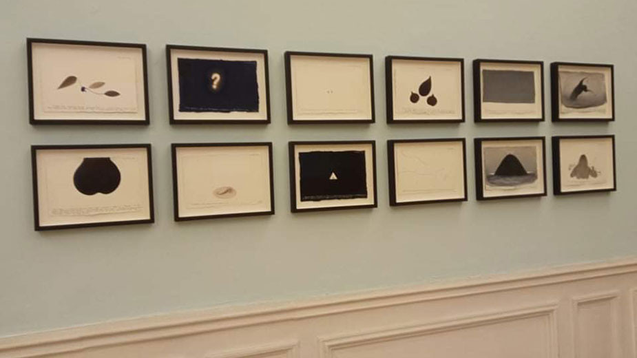  Недко Солаков, Въпроси, 2013 