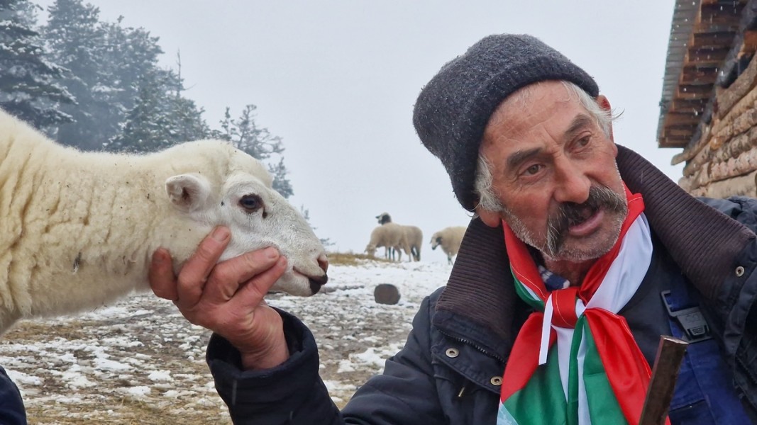 Един от собствениците на фермата Георги Илиев  Снимка: БТА