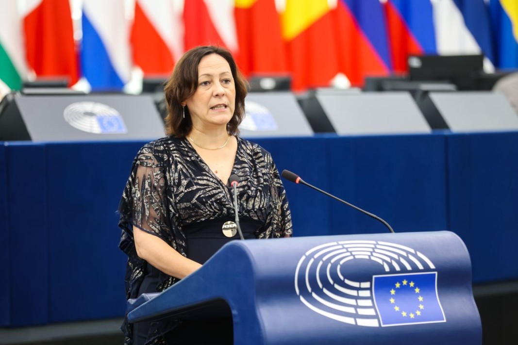 Сузана Борвендег, Европа на суверенните нации