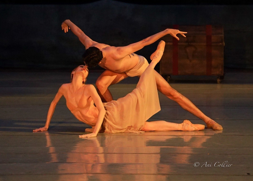 Марта Петкова и Цецо Иванов в балета „Кармина Бурана“ на хореографа Фреди Франдзути. Снимка: Ани Колиър