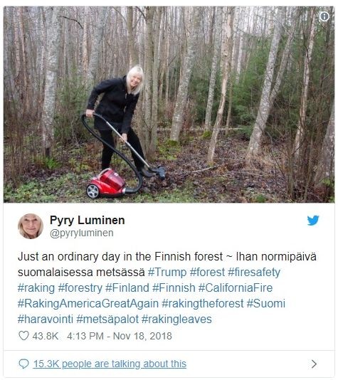 “Обикновен ден на почистване във финландска гора“, гласи коментарът на този пост в Туитър.