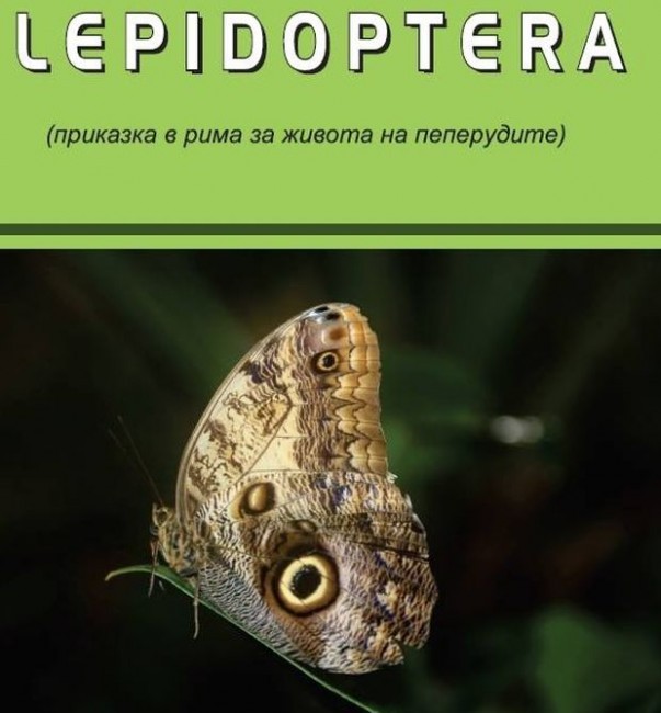 Снимка