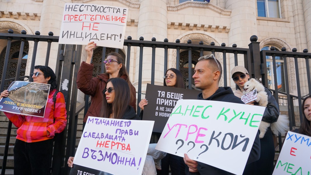 Протест срещу насилието над животните пред Съдебната палата в София на 15.11.2025 г.