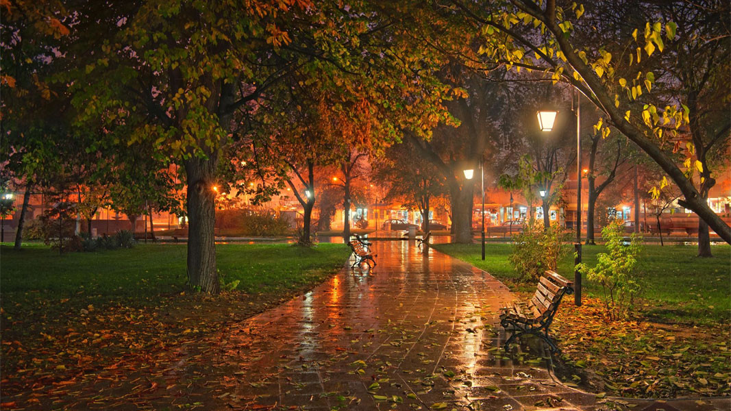Nikola Kolev, A Rainy Autumn Night, photo from the contest