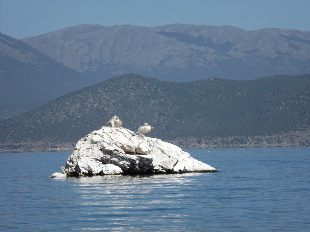  Националният парк „ Преспес “ в Гърция Снимка: персонален списък 