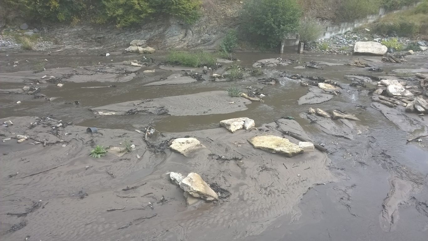 Мъртва риба е изплувала в река Банска близо до хасковското
