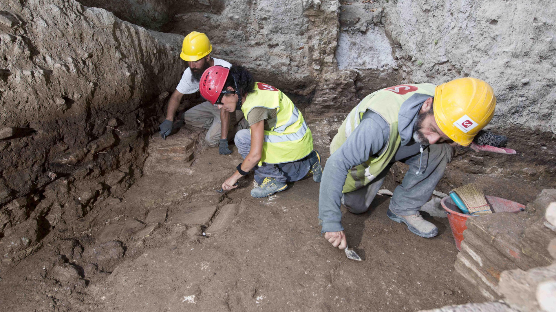 Учени се натъкнаха на останки от древен гигантски носорог от