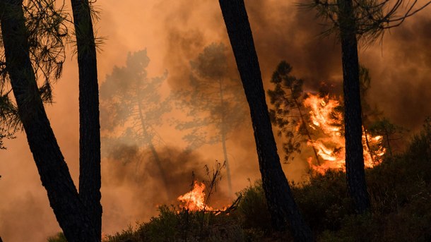 Десет души са загинали при горски пожари в Калифорния съобщават