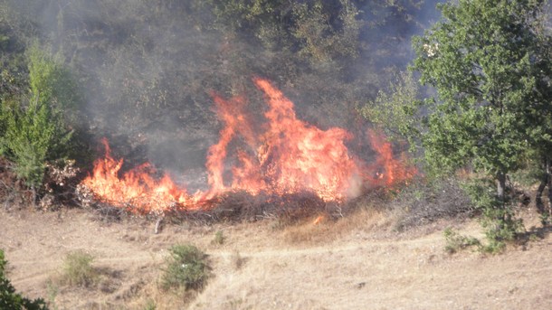 Огнеборци и горски служители втори час гасят пожар в десетки