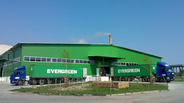 Заводът за производство на целулоза в Свищов спря работа поради