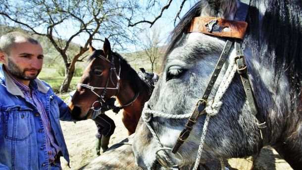 Собственикът на бедстващите в Осоговската планина коне Петър Пищалов даде