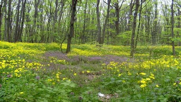 Столичната община планира изграждането на парк Изток в район Младост