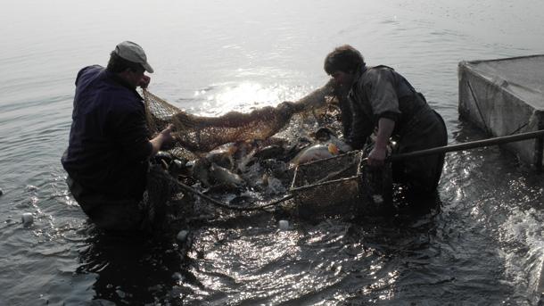Рибарите в Балчик настояват за изграждането на регламентиран пазар където