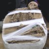 Скелет на праисторически човек, открит в местността 