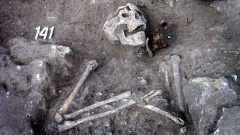 Необычное захоронение с прокалыванием лемехом, обнаруженное в ходе раскопок на Перпериконе близ Кырджали.