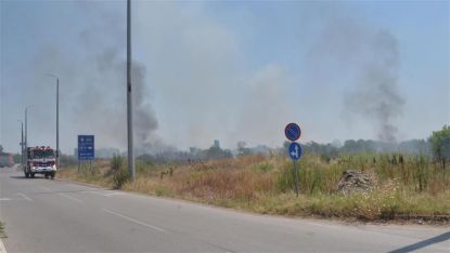 До 15 излизания на ден са имали пожарникарите в Кюстендилско