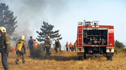 400 дка борова гора изгоря край Стара Загора
