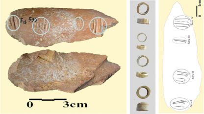 Гравирана кост от ранния палеолит. Най-ранната символична изява (1.4 млн. г.) известна до днес.
