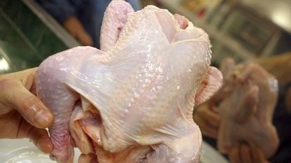Заразено пилешко не е стигнало до търговската мрежа