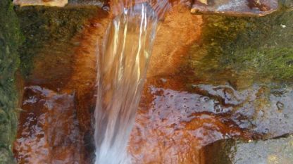 Минералната вода в местността “Лесков дол” край Брезник, известна още като “Светата вода”, е известна с високо съдържание на желязо.