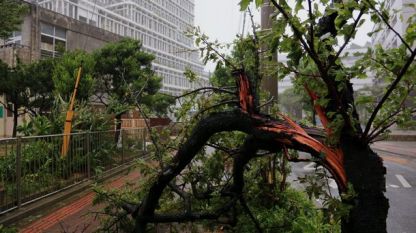 Тайфунът нанесе значителни щети в Япония
