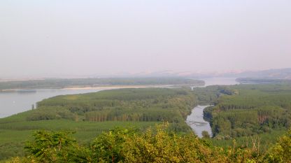 The wetlands along the Danube
