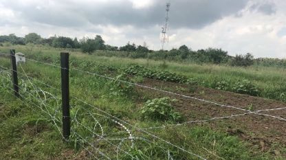 Оградата между България и Румъния срещу преминаването на диви прасета