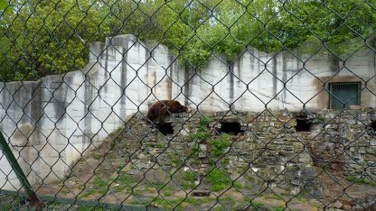 Клетката на мечките в Старозагорския зоопарк