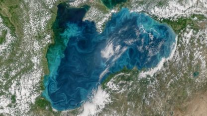 Цъфналият фитопланктон в Черно море