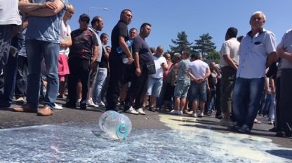 Български производители изливат млякото си в знак на протест срещу политиките в сектора