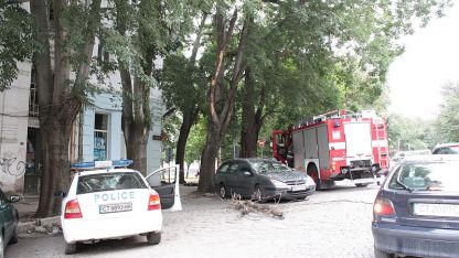 Изсъхнал клон падна върху паркирана кола в Стара Загора