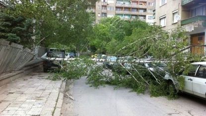Бурен вятър нанесе щети в Хасково и Кърджали